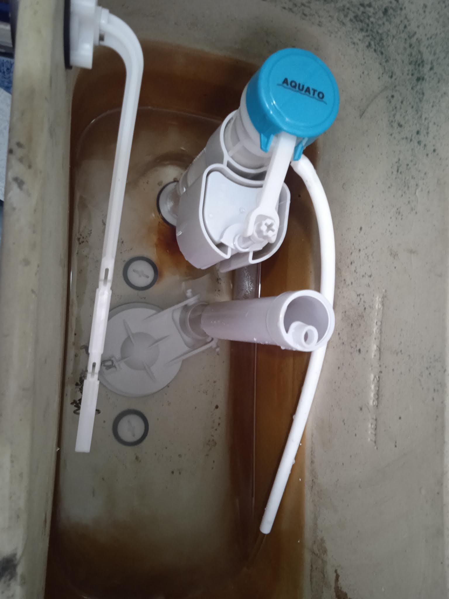 Instalación de sanitarios - antes / detalle