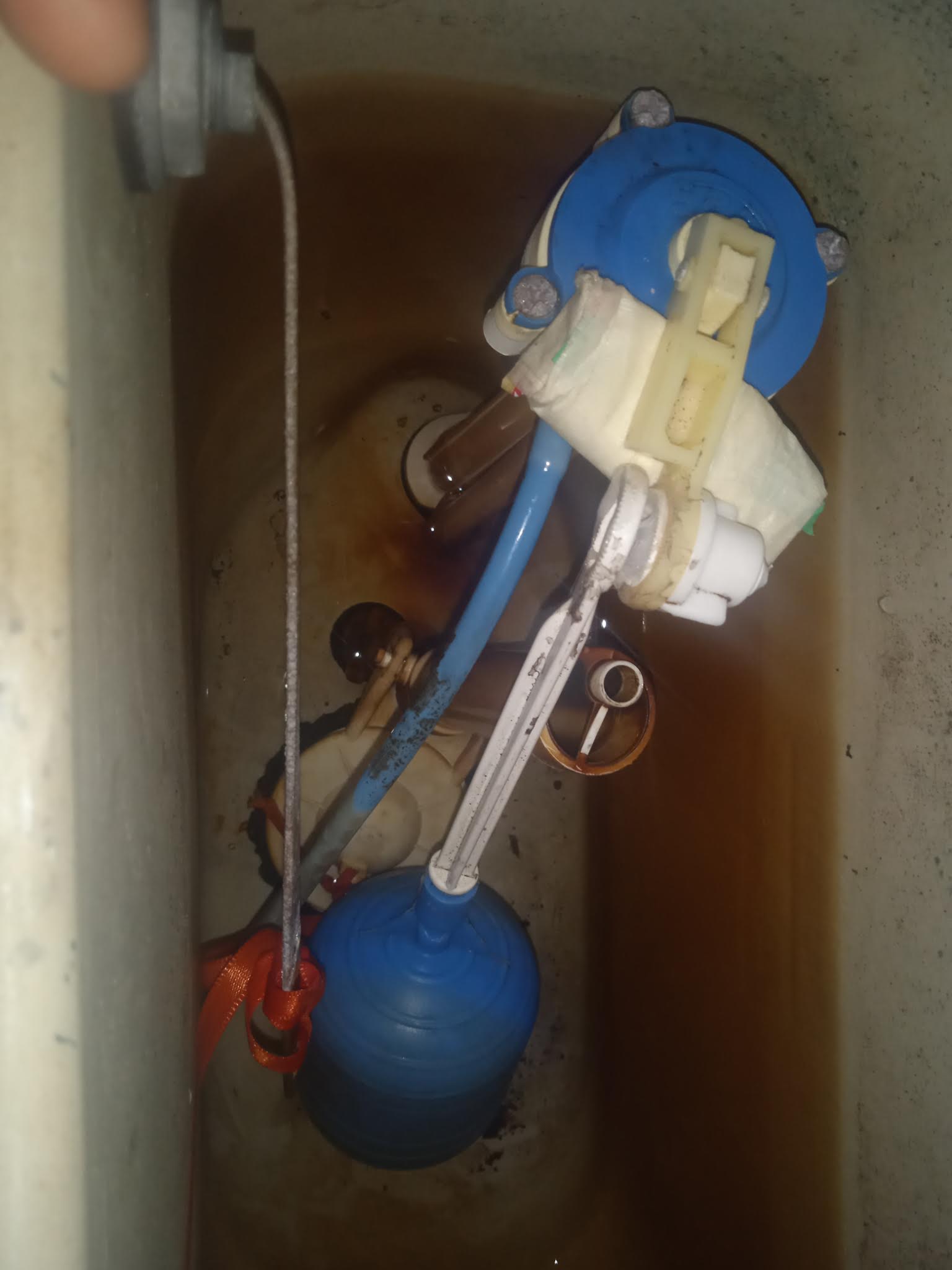 Instalación de sanitarios - después / resultado